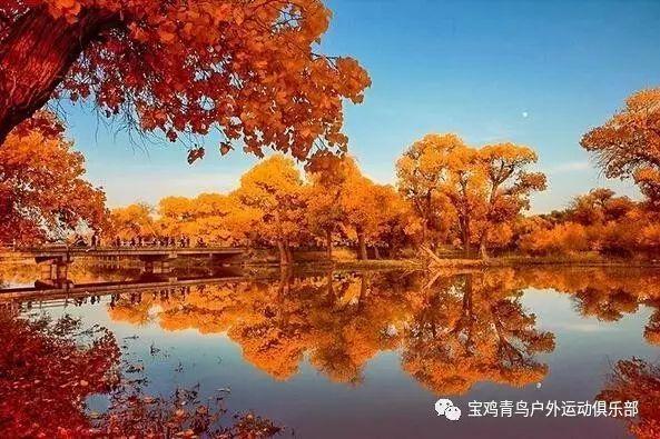 《知否》原著：为何“渣男”三人组中的盛纮，被明兰叫好爹爹？