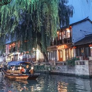 美丽中国厦门实践 | “海上大熊猫”中华白海豚逐浪嬉戏厦门湾（人民网）